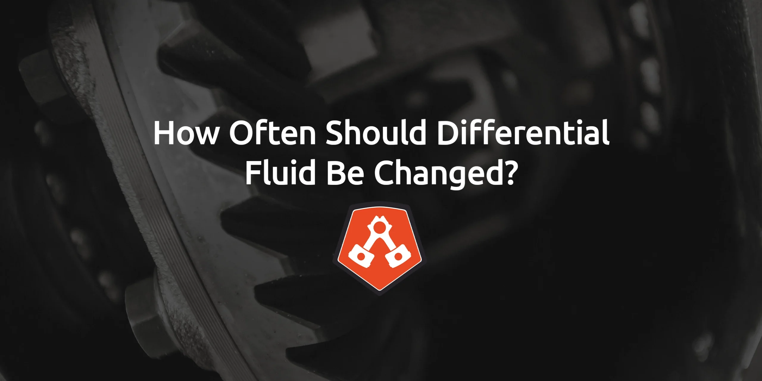 How Often Should Differential Fluid Be Changed?